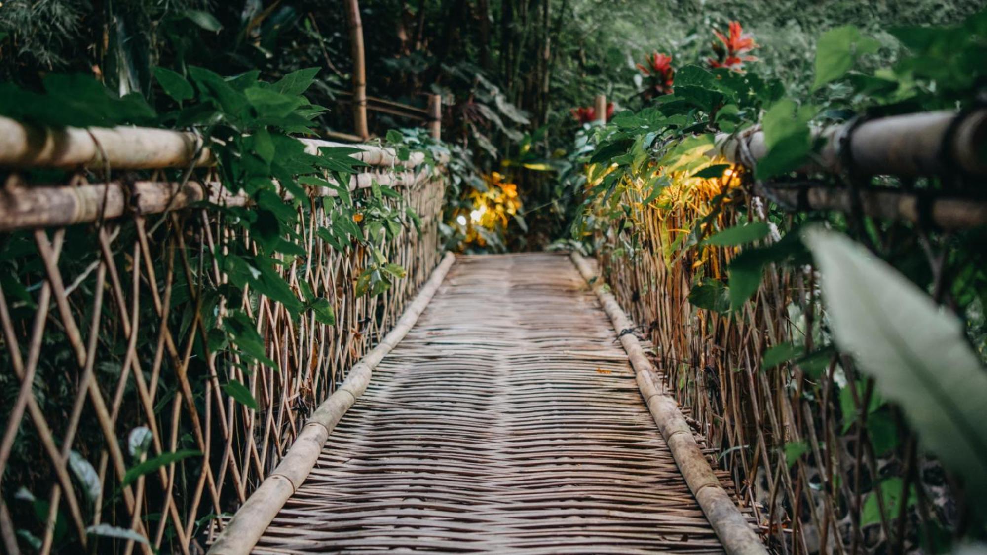 Hideout Eco Bamboo House Bali Villa *
